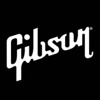 Gibson: Learn &amp; Play Guitar
